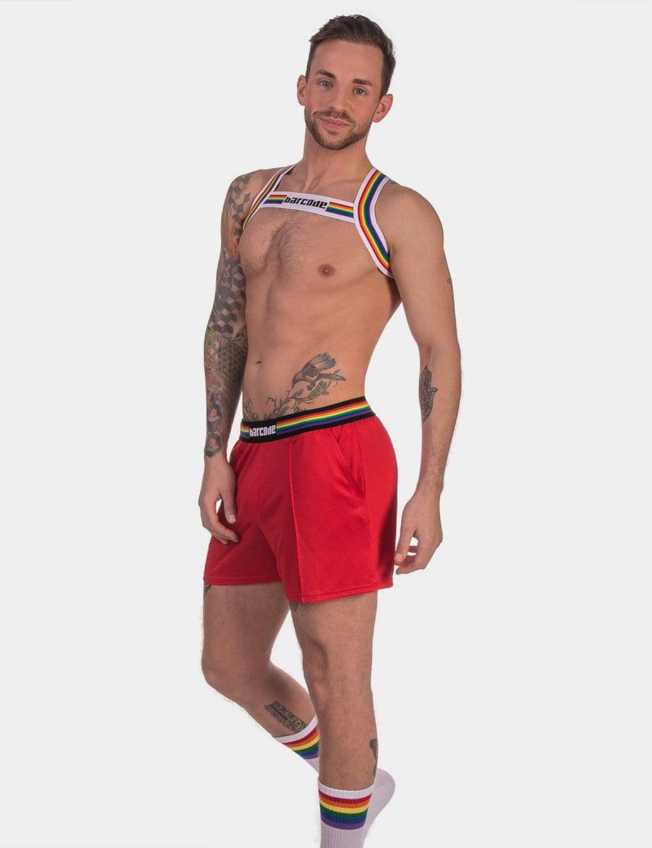 Barcode Berlin Harness Pride - Image 11