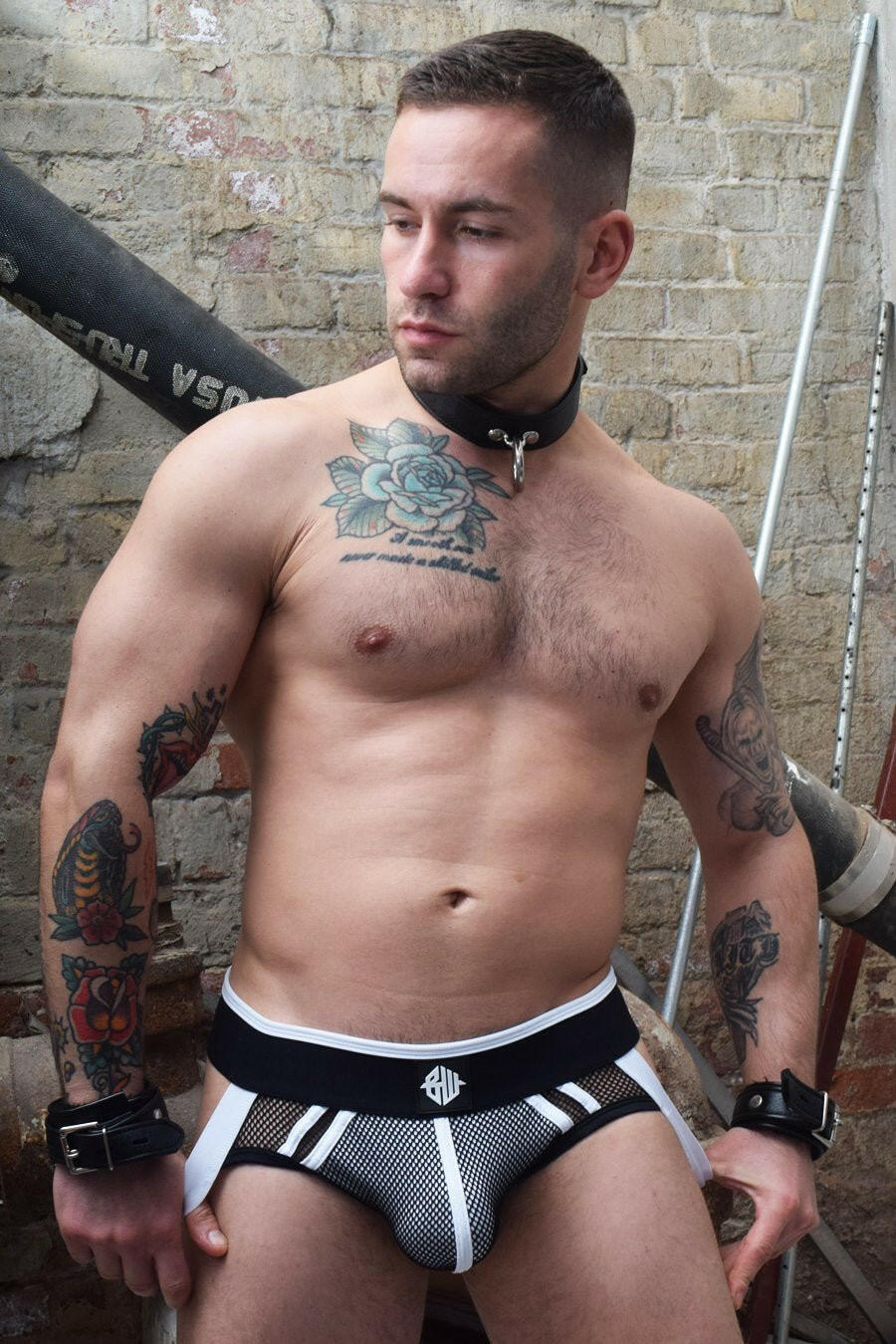 Breedwell Axel Jock - Image 3