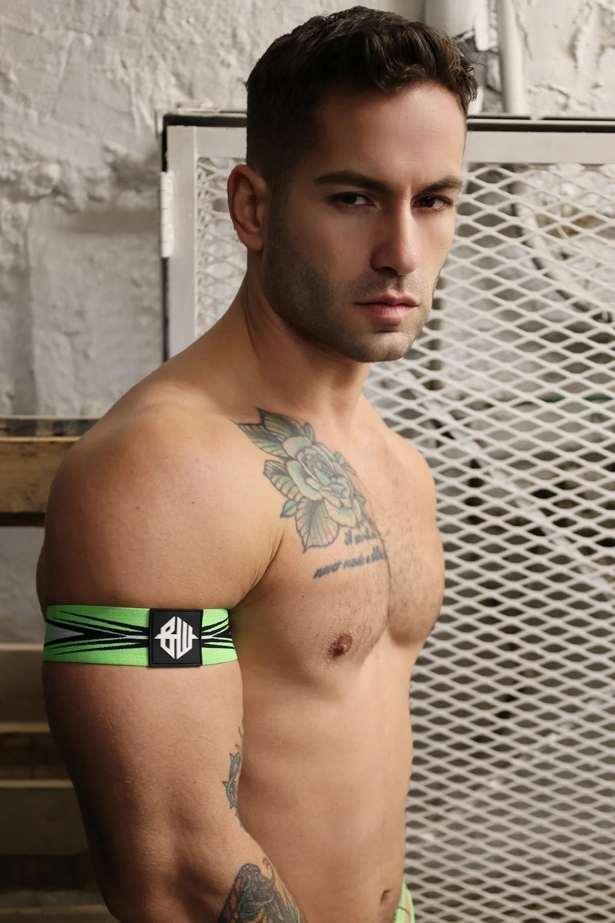 Breedwell Circuit Breaker Arm Bands (2-pack) - Image 41