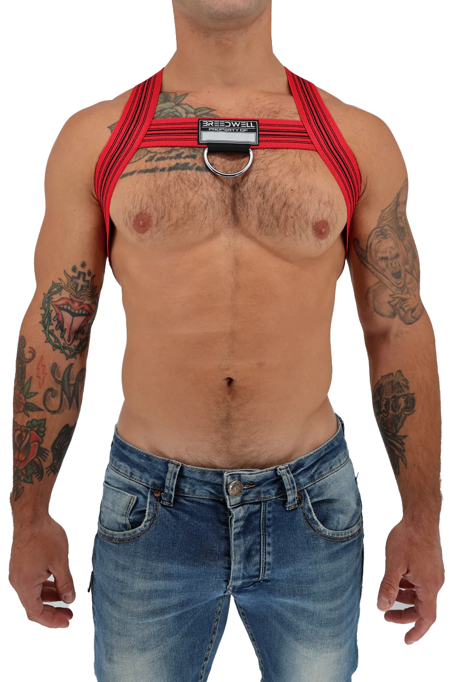 Breedwell Classic Elastic Bulldog Harness - Image 10