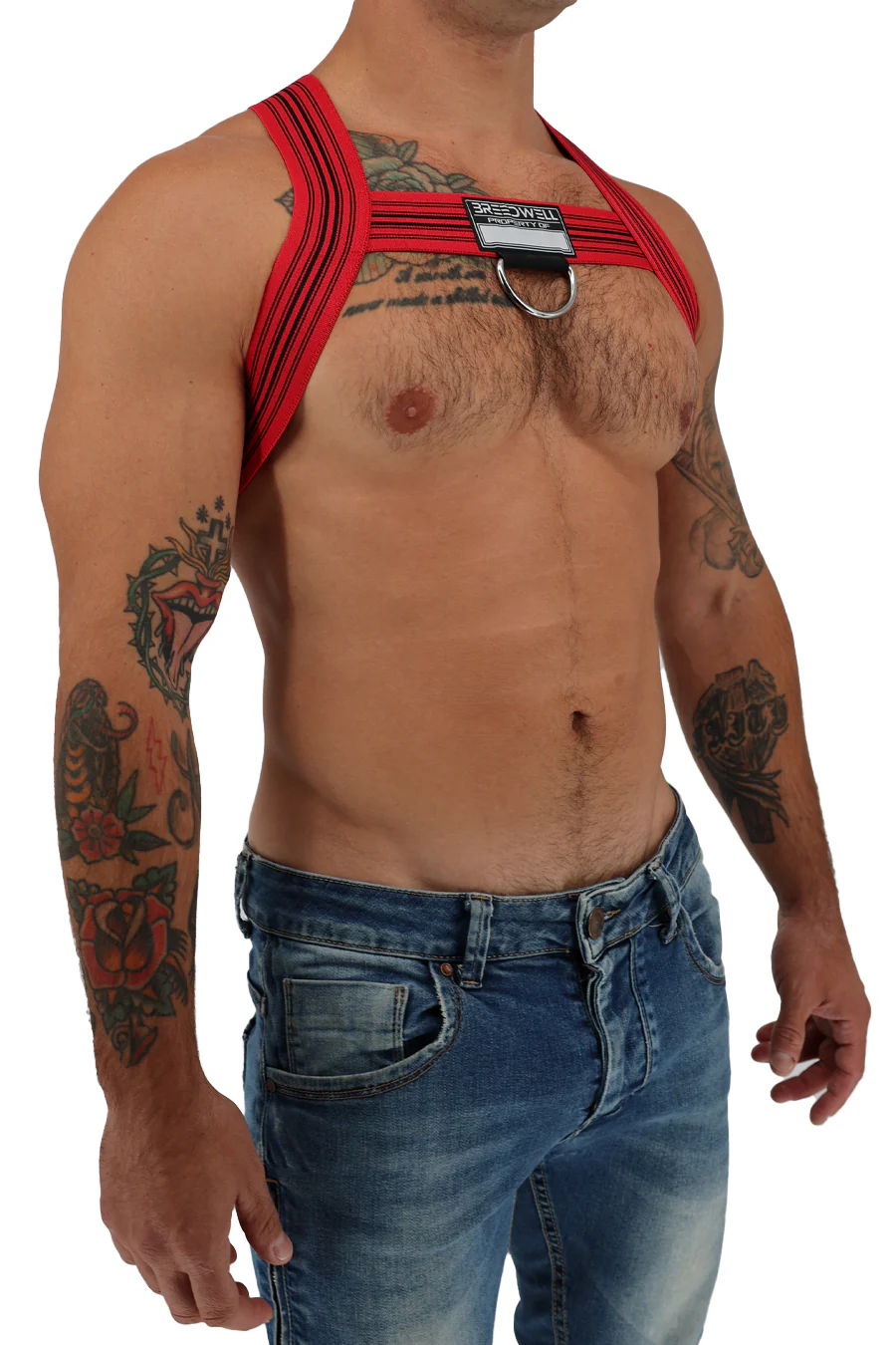 Breedwell Classic Elastic Bulldog Harness - Image 11
