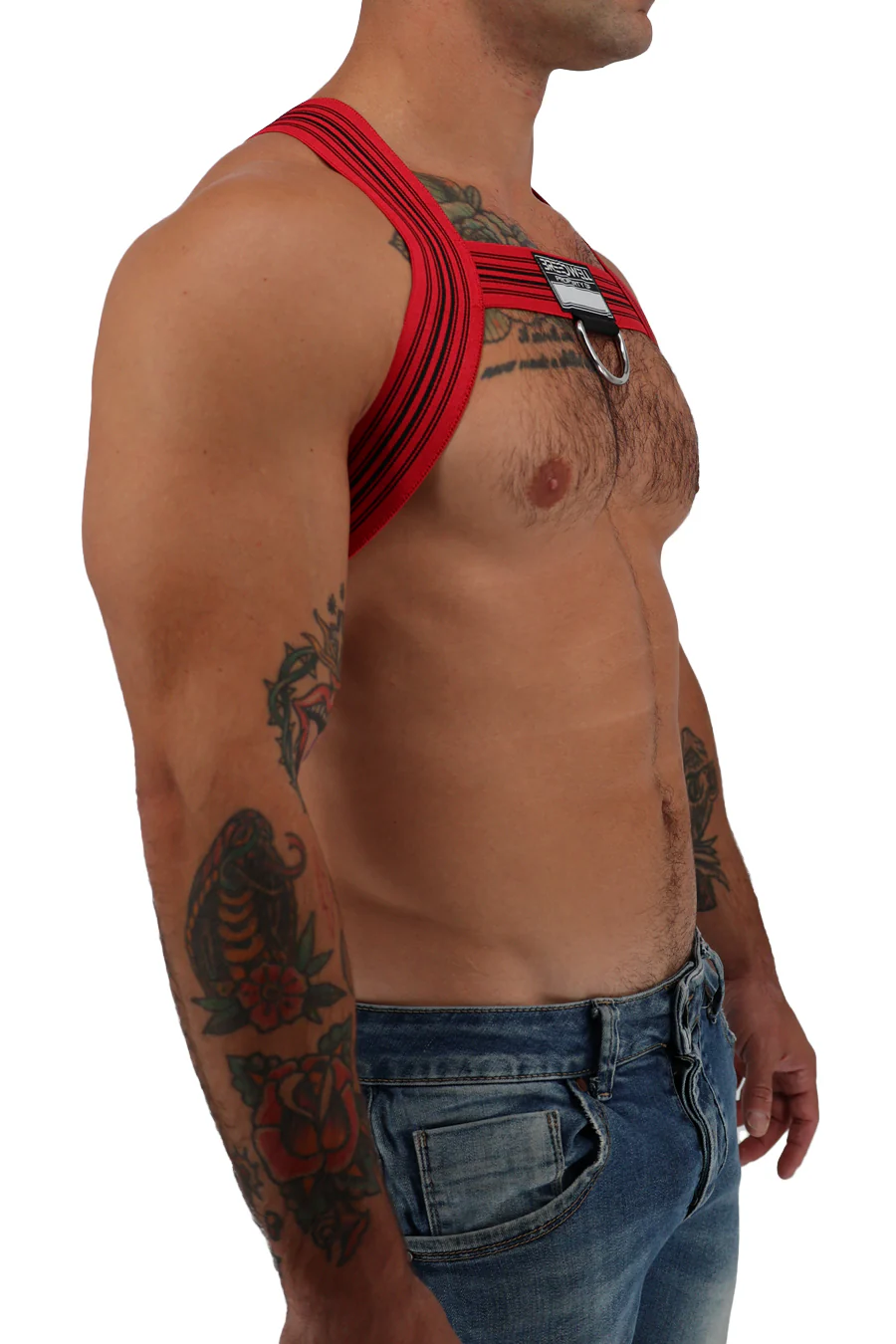 Breedwell Classic Elastic Bulldog Harness - Image 12