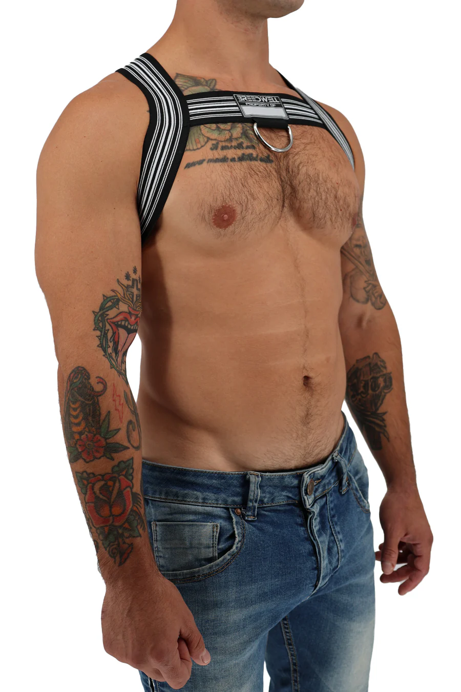 Breedwell Classic Elastic Bulldog Harness - Image 19