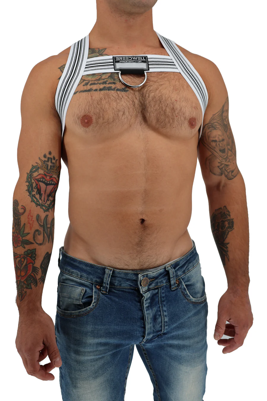 Breedwell Classic Elastic Bulldog Harness - Image 25