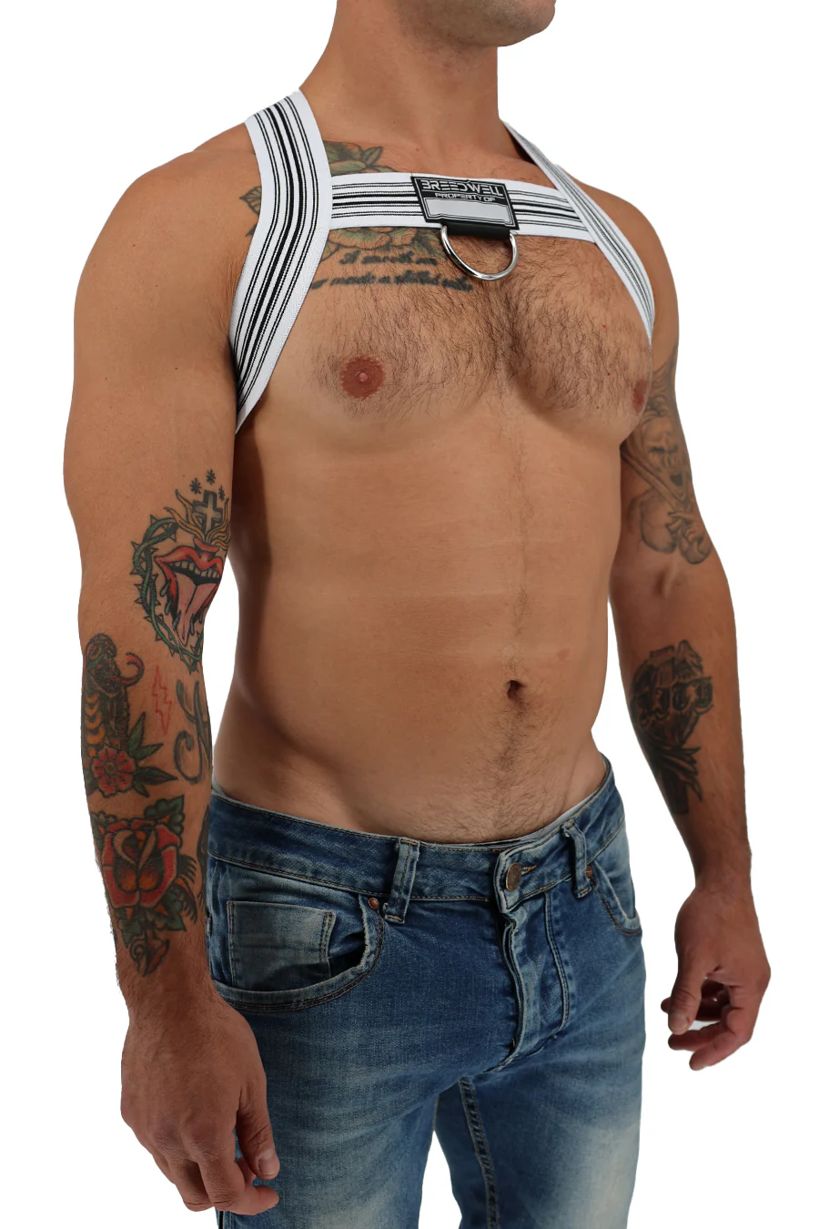 Breedwell Classic Elastic Bulldog Harness - Image 26