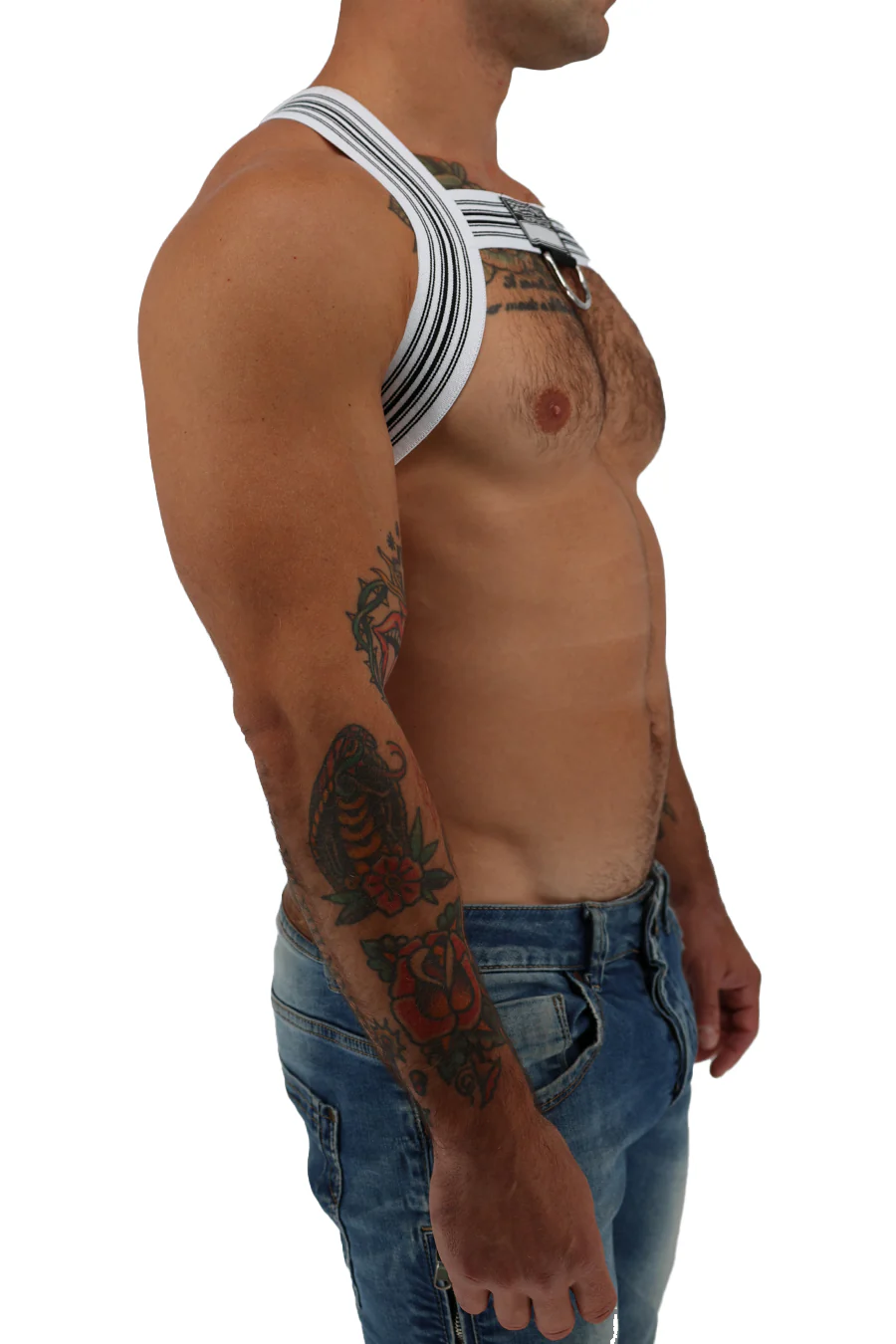 Breedwell Classic Elastic Bulldog Harness - Image 27