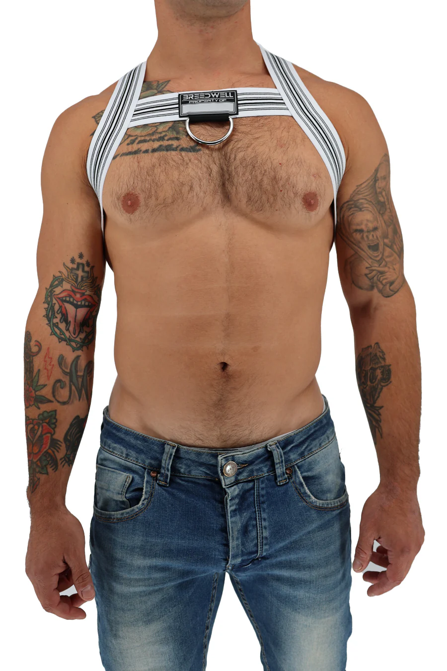 Breedwell Classic Elastic Bulldog Harness - Image 29