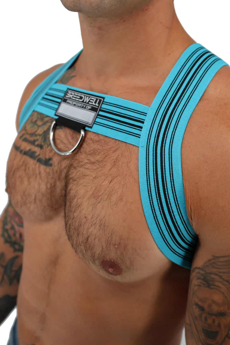 Breedwell Classic Elastic Bulldog Harness - Image 3