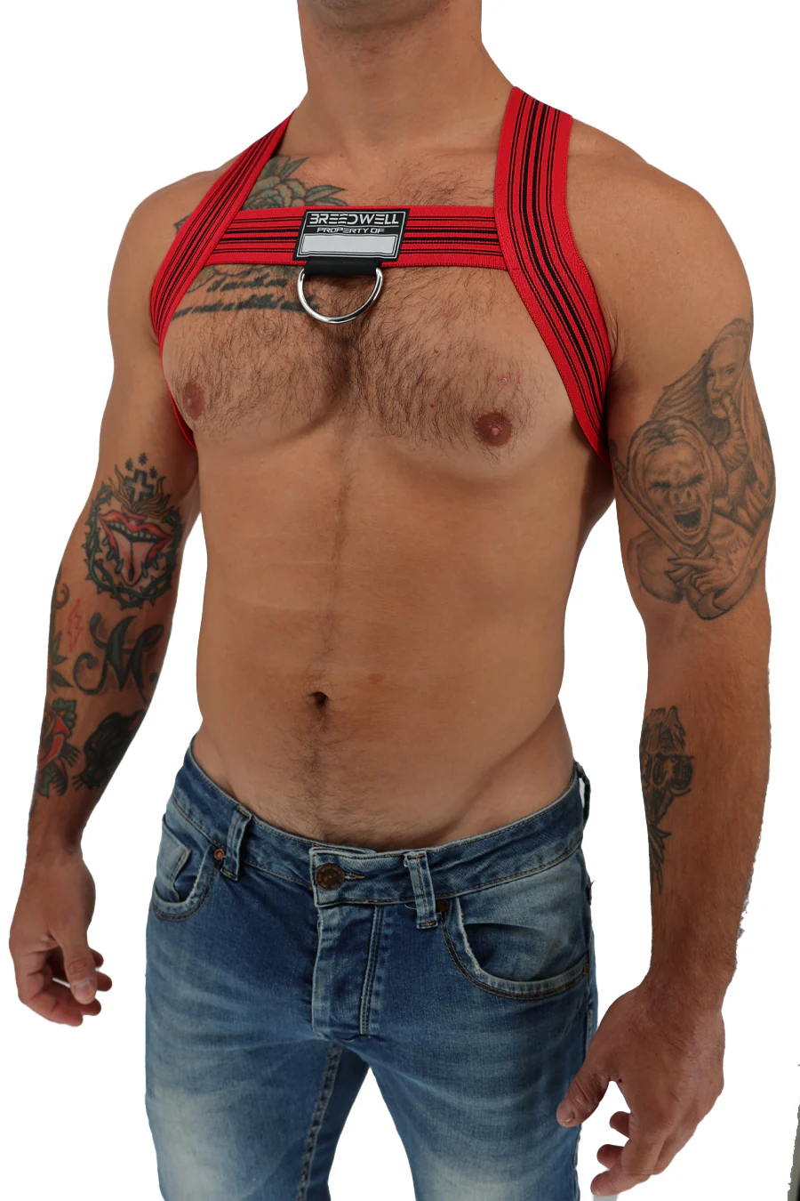 Breedwell Classic Elastic Bulldog Harness - Image 9