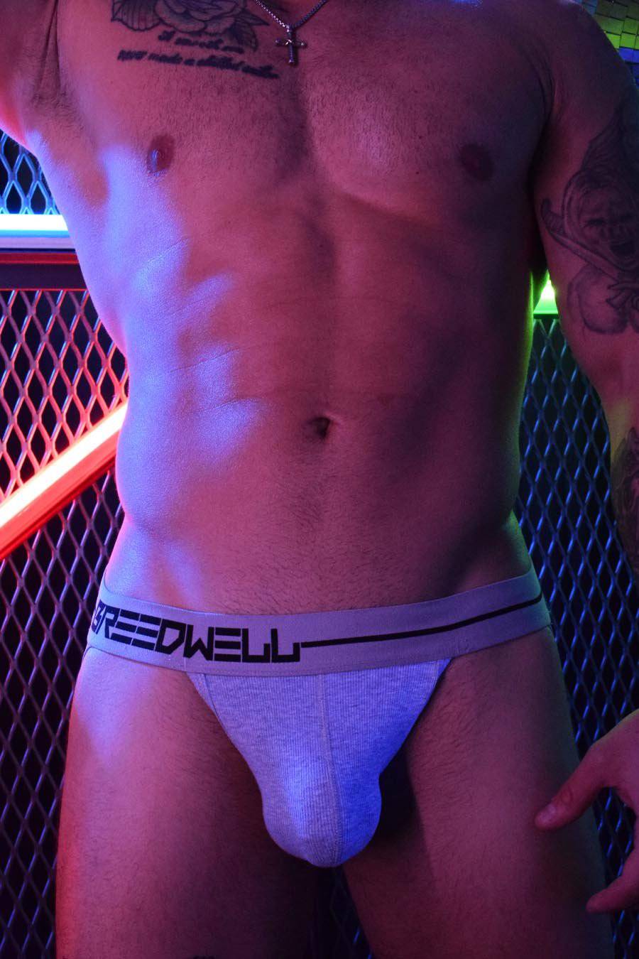 Breedwell Cotton Trade Jockstrap - Image 26
