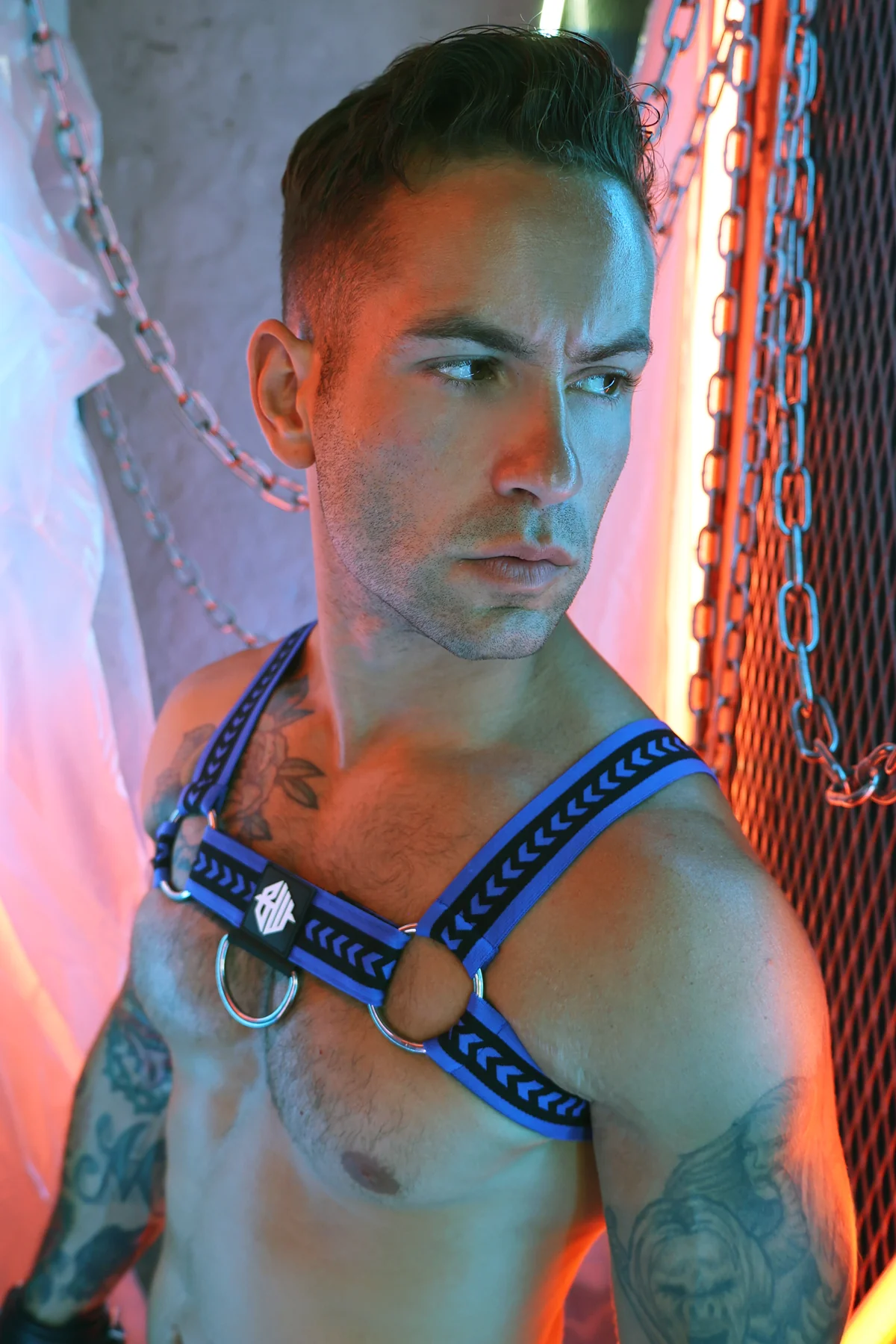 Breedwell Daddy's Favorite Bulldog Harness - Image 23