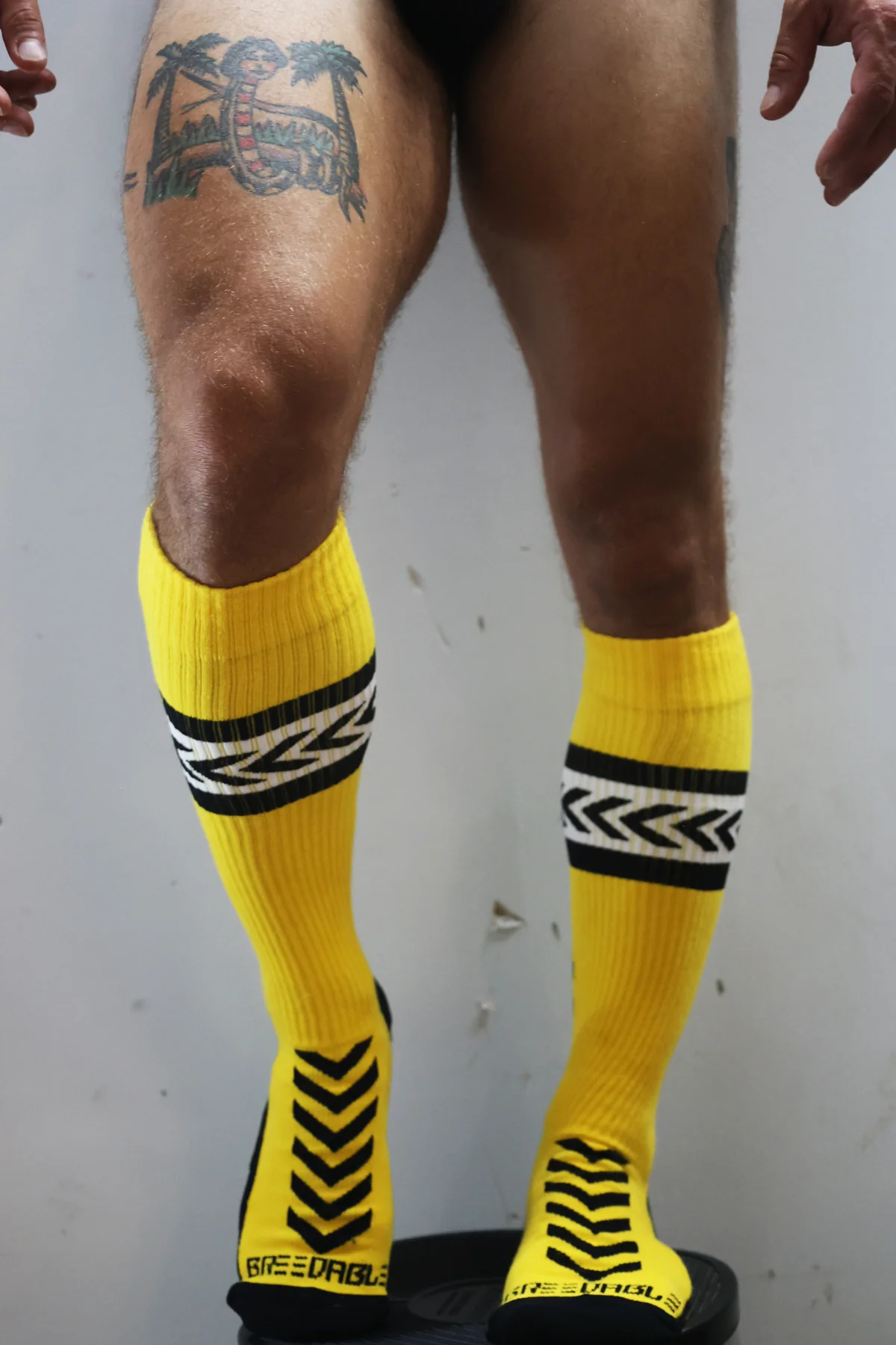 Breedwell Daddy's Favorite Socks - Image 28