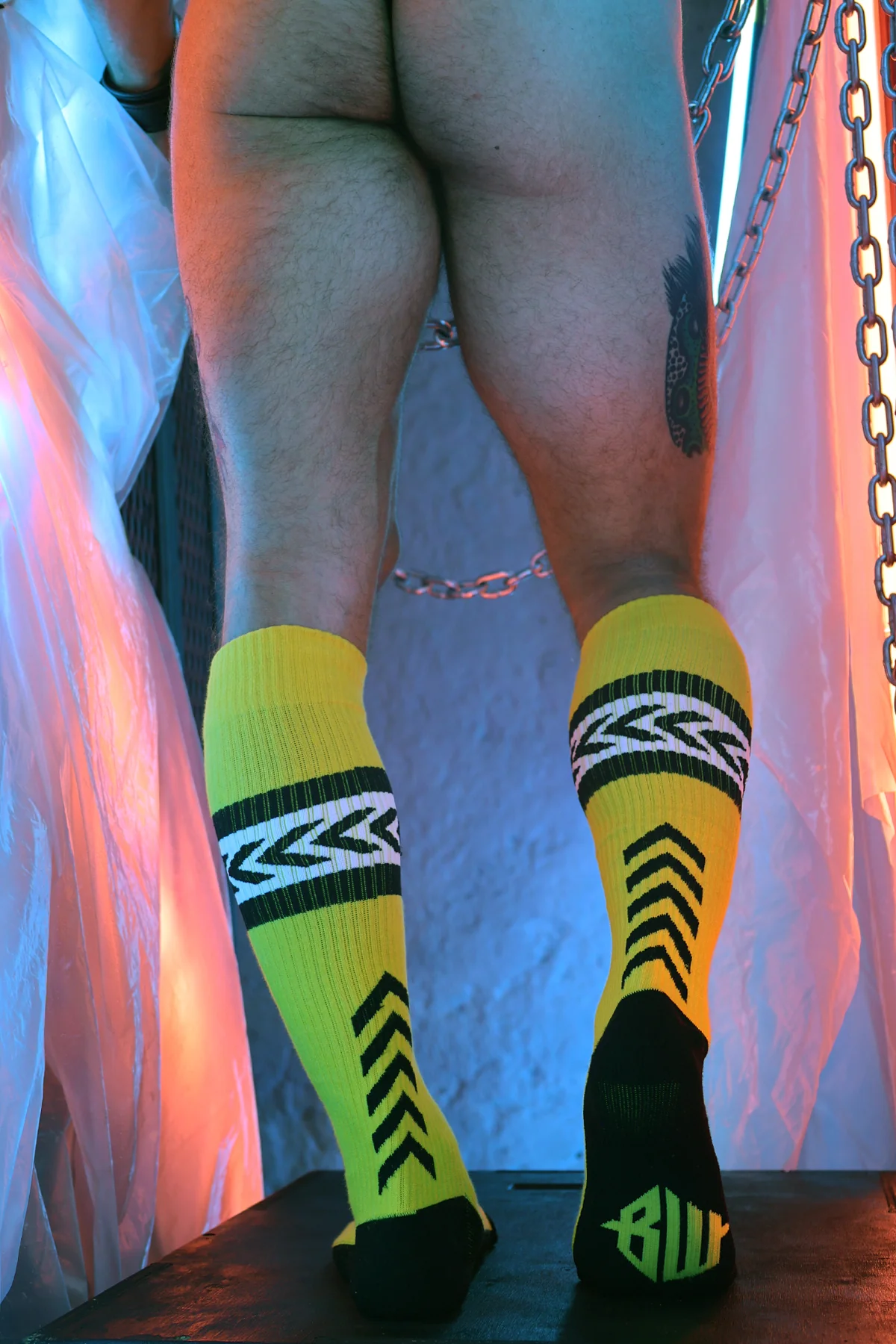 Breedwell Daddy's Favorite Socks - Image 33