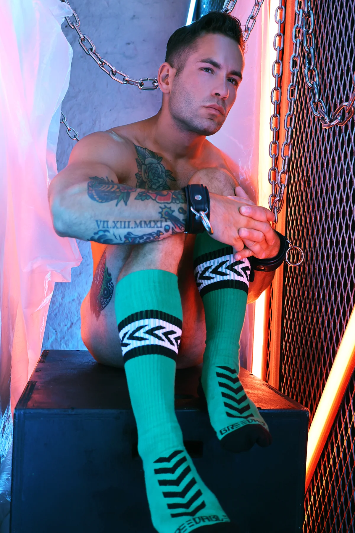 Breedwell Daddy's Favorite Socks - Image 5