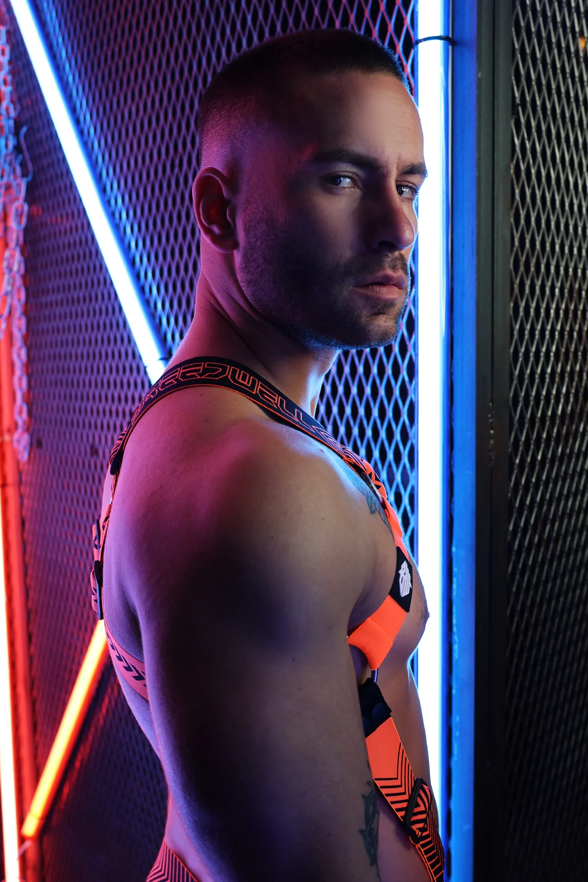 Breedwell Futura Body Harness - Image 29