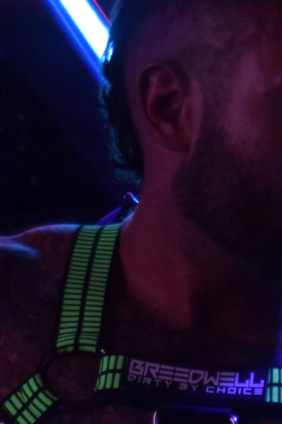 Breedwell Hybred Body Harness - Image 19