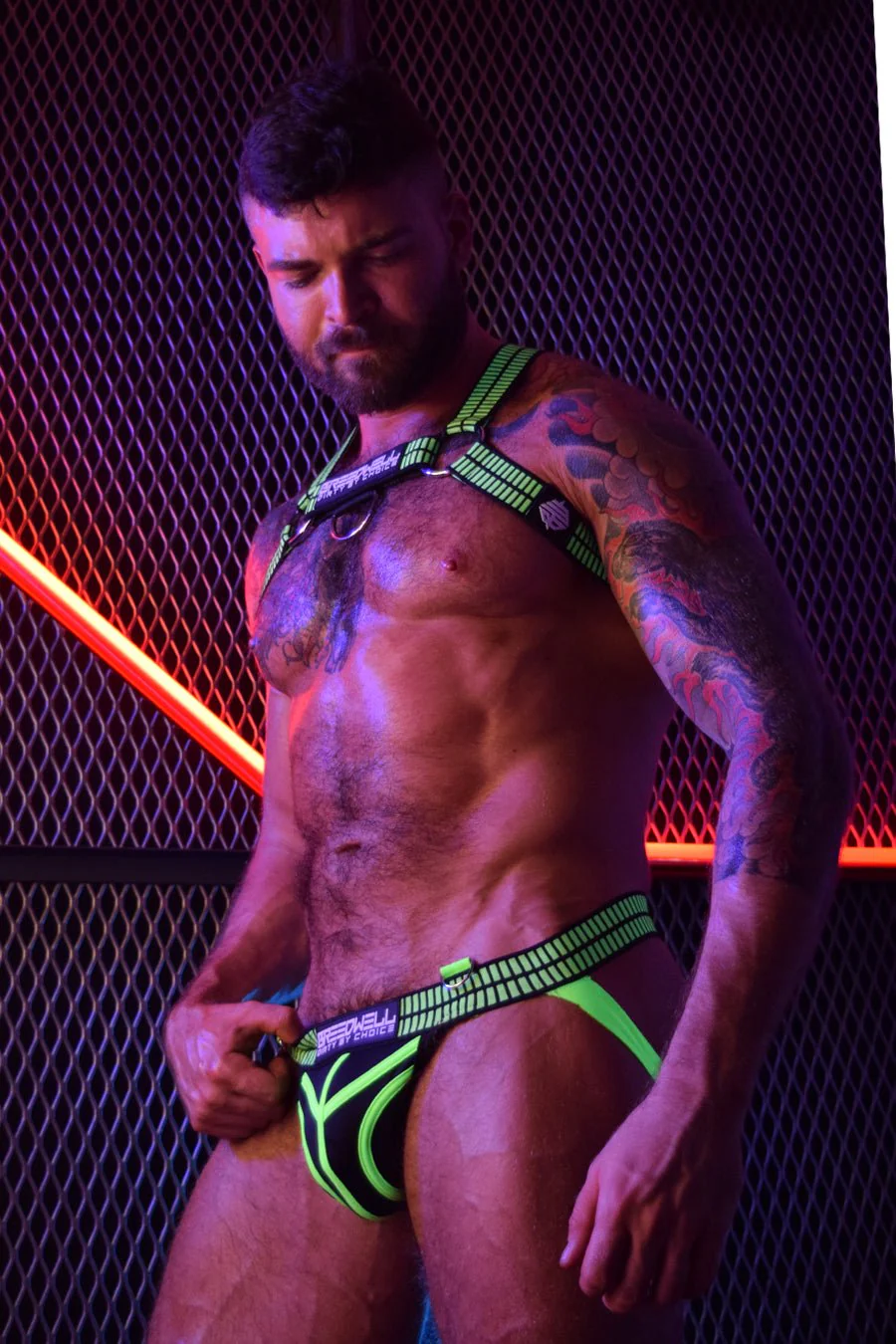 Breedwell Hybred Body Harness - Image 21