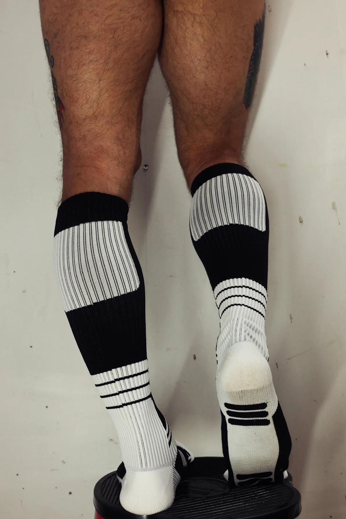 Breedwell Hypnotix Socks - Image 36