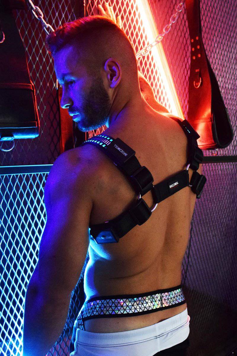 Breedwell Mirror Glow Bulldog Harness - Image 2