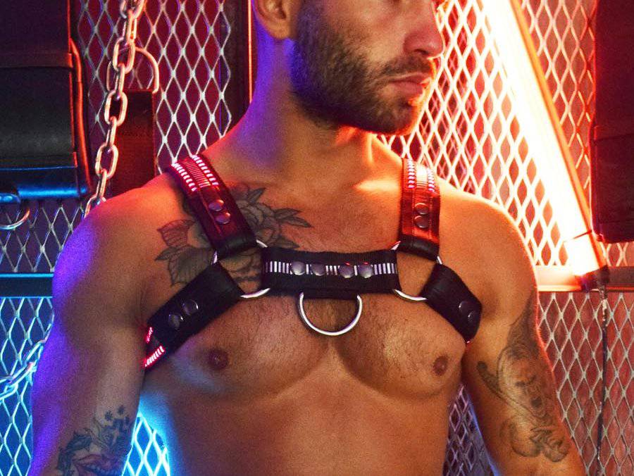 Breedwell Mirror Glow Bulldog Harness - Image 4