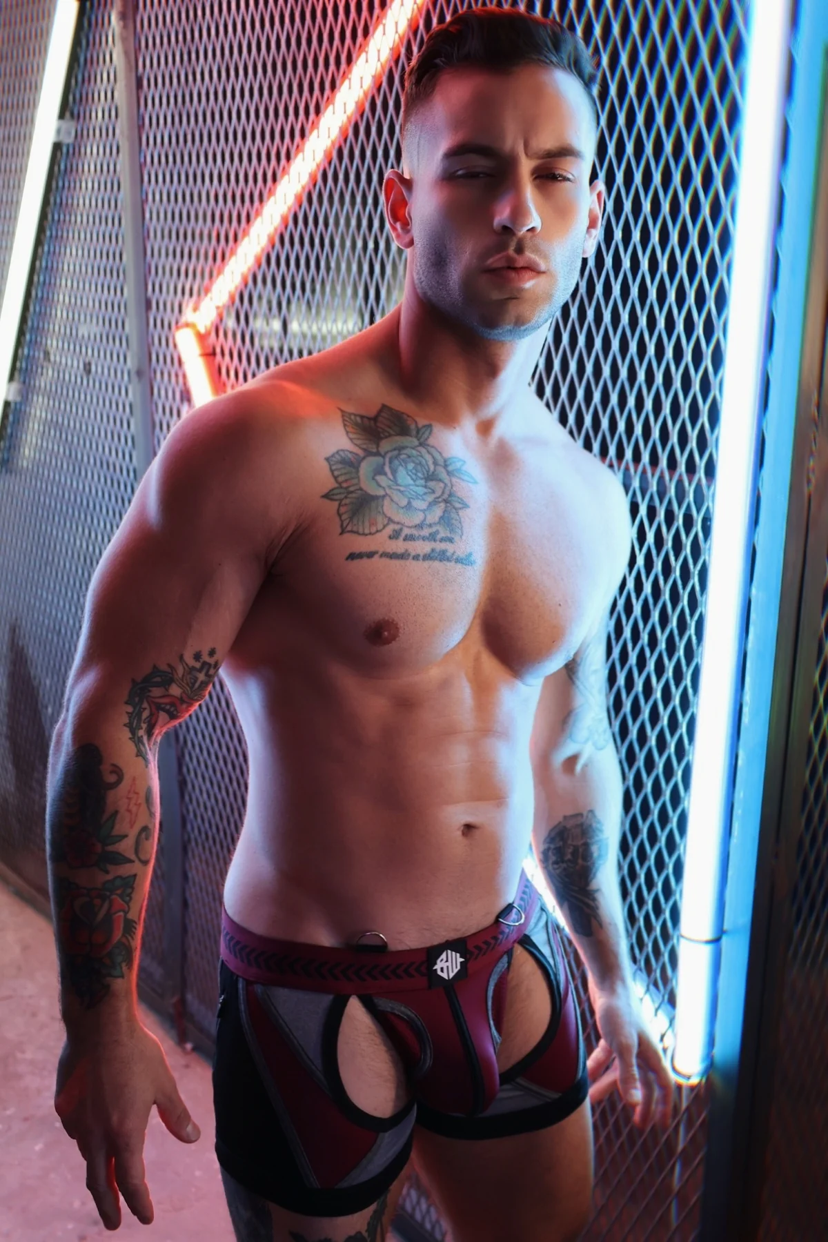 Breedwell Mister Luxe Chock - Image 46
