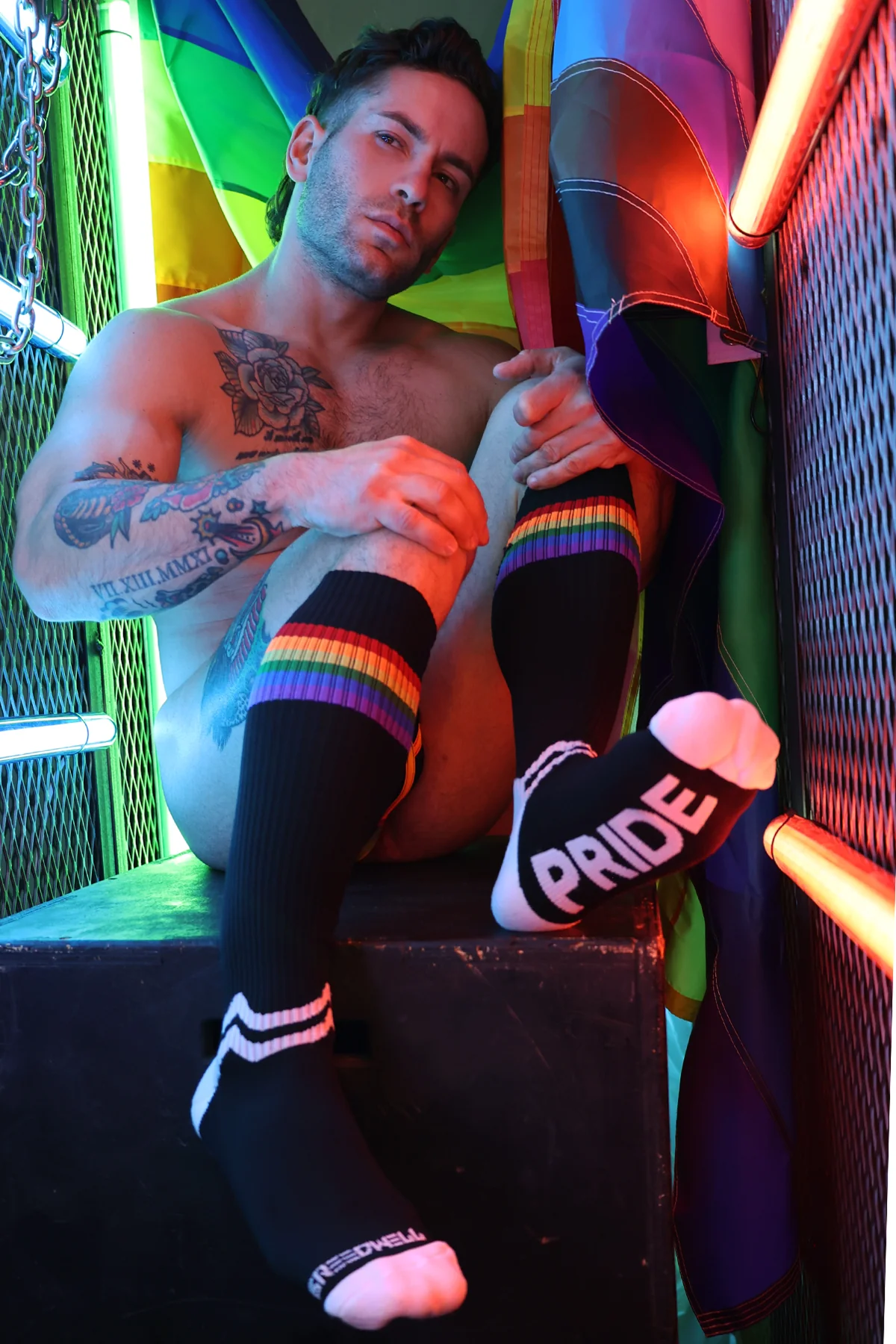 Breedwell Pride Socks - Image 4