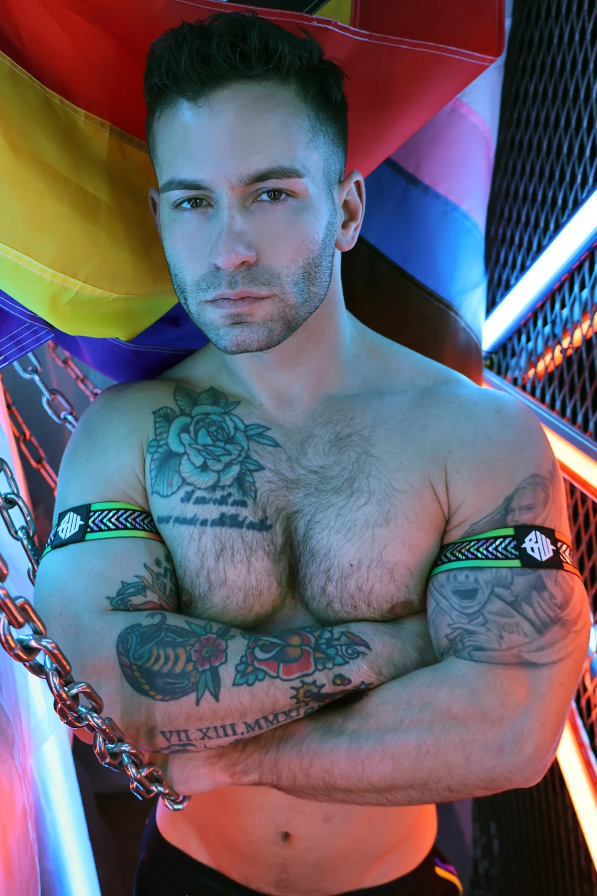 Breedwell Pure Pride Armbands - Image 8