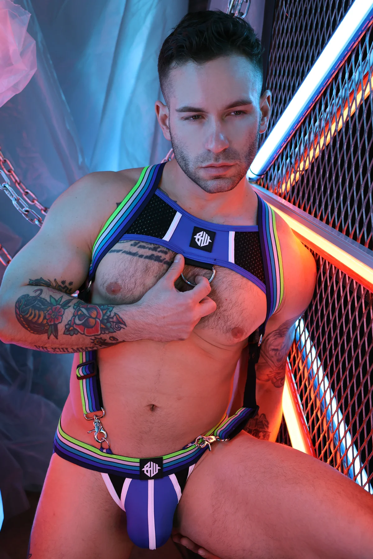 Breedwell Retro Remix Harness - Image 14