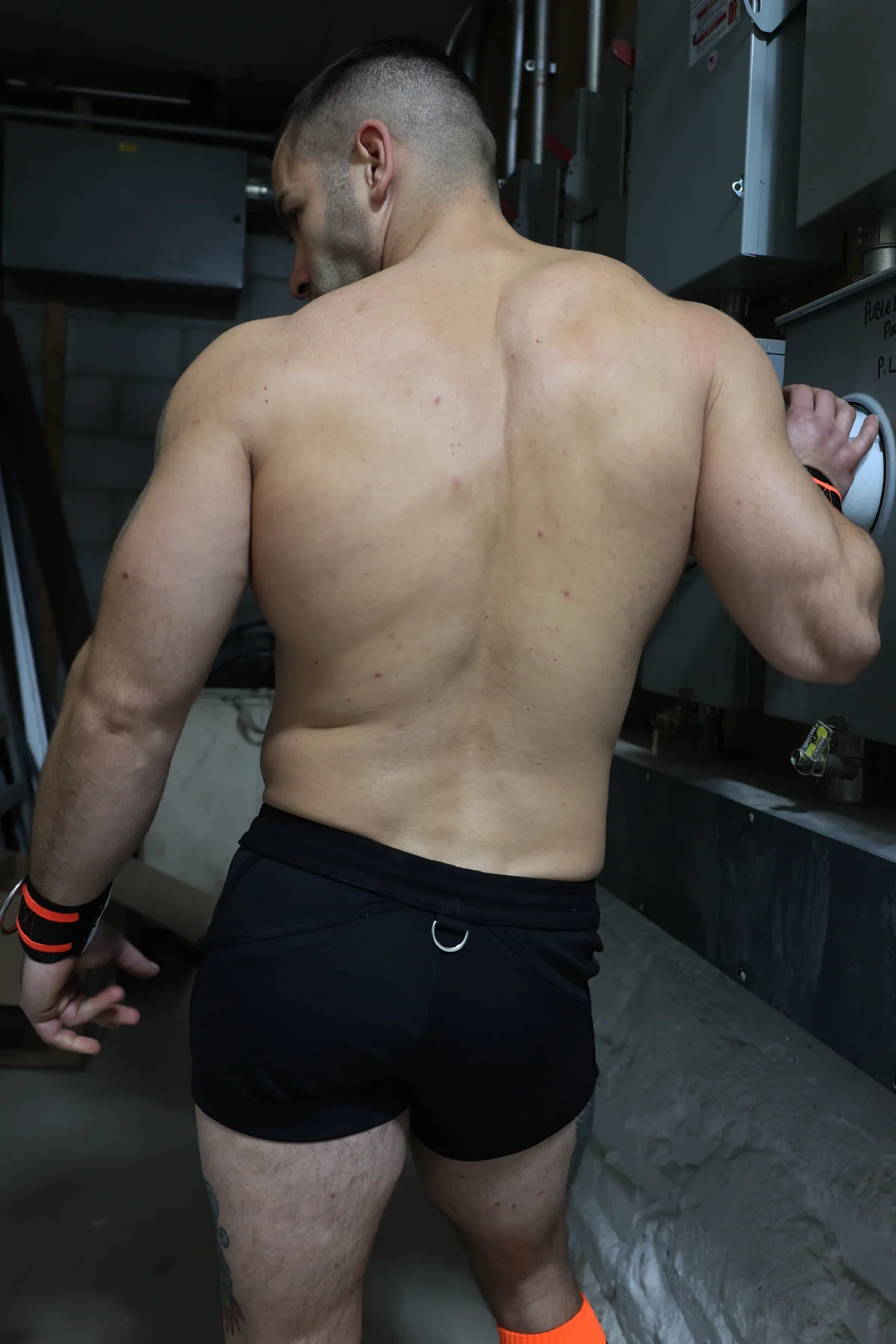 Breedwell Revolution Shorts - Image 16