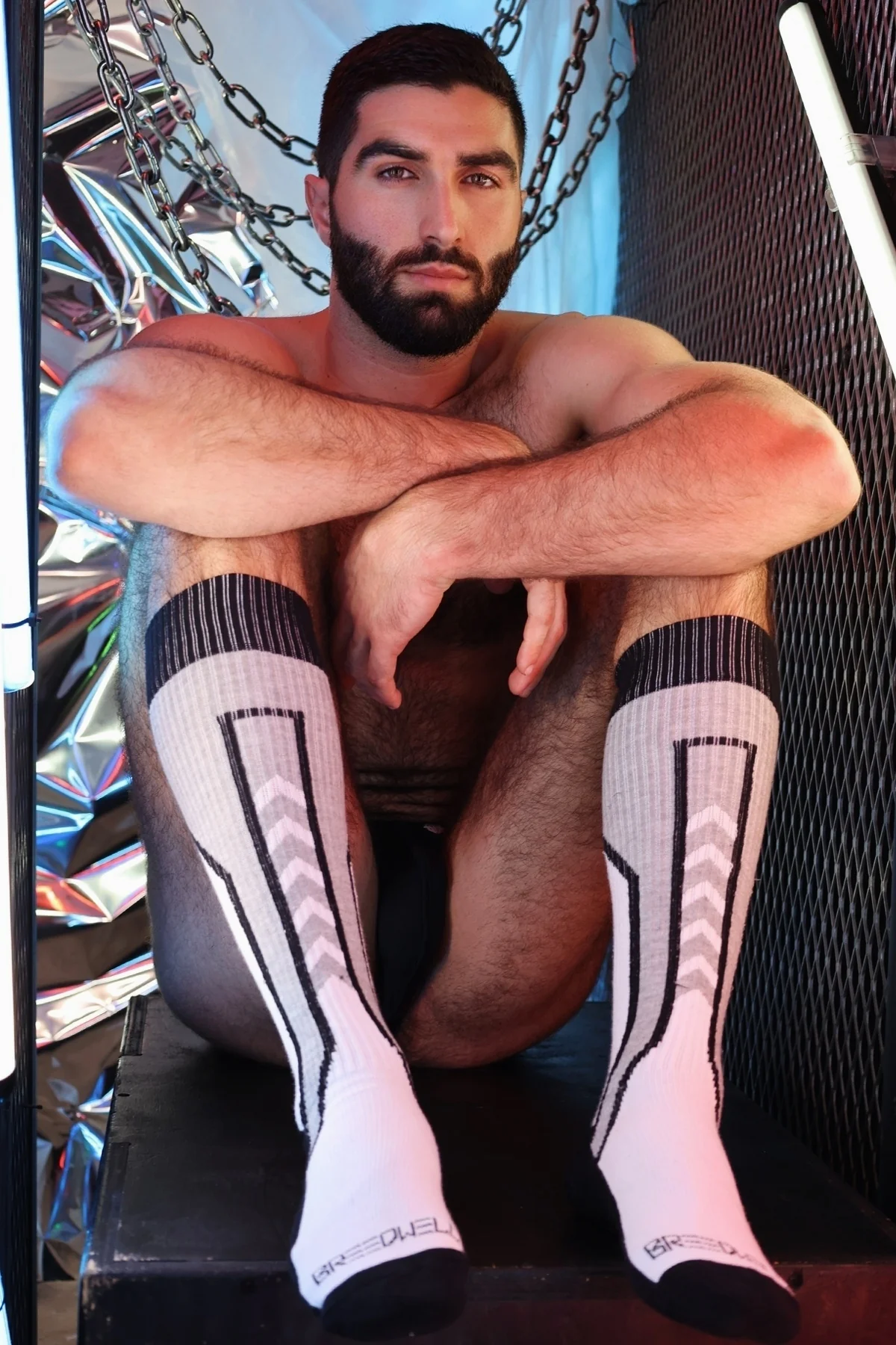 Breedwell Sir Splurge Socks - Image 24