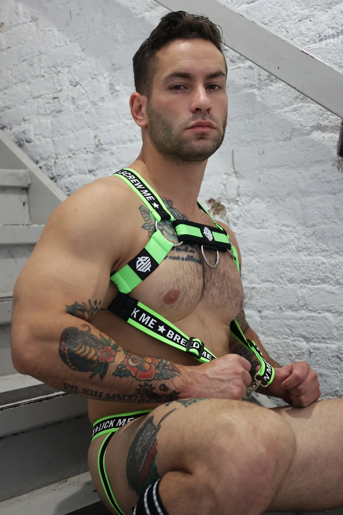 Breedwell Snax Body Harness - Image 23