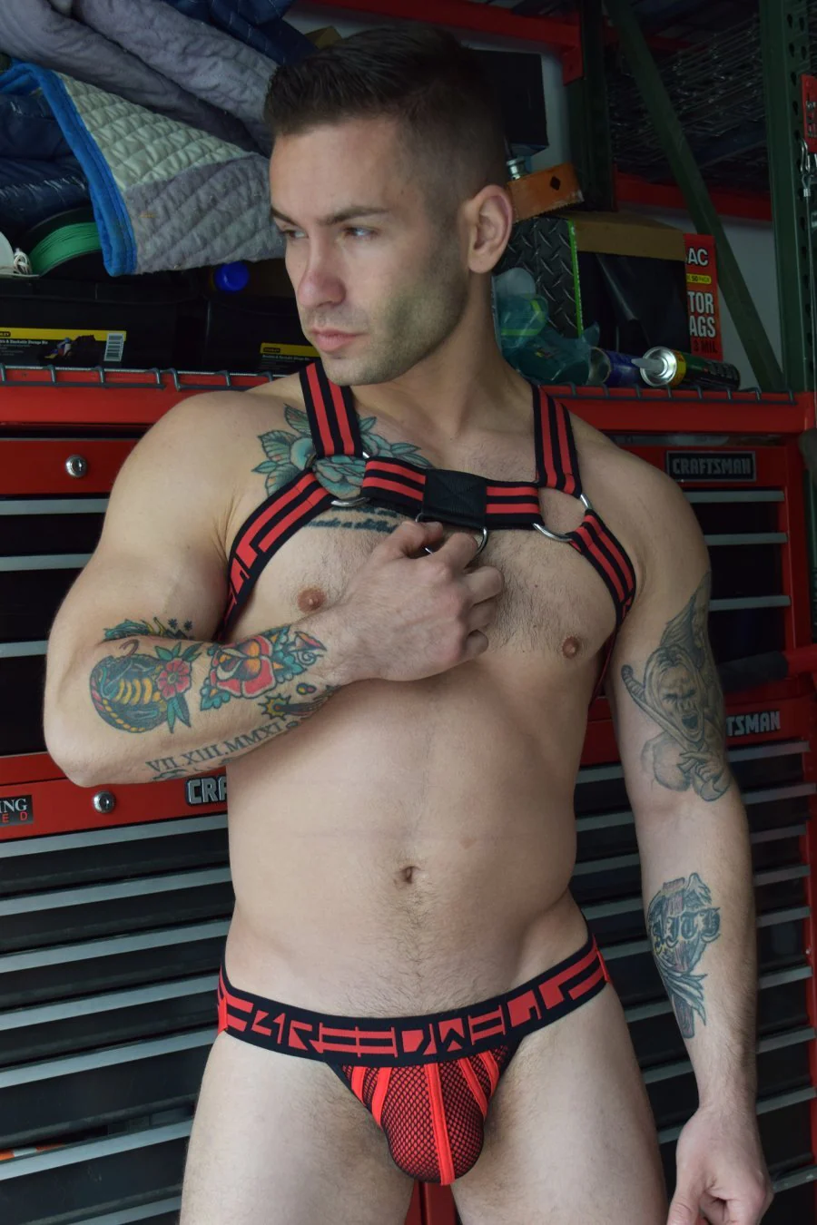Breedwell voyeur Harness - Image 11
