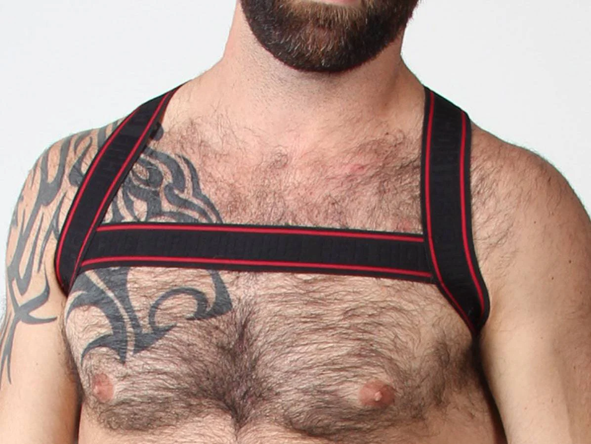 CellBlock 13 Atlas Elastic Harness - Image 8