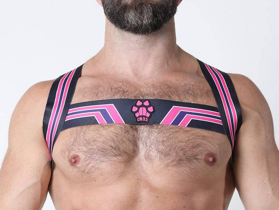 CellBlock 13 Kennel Club Bandit Harness - Image 11