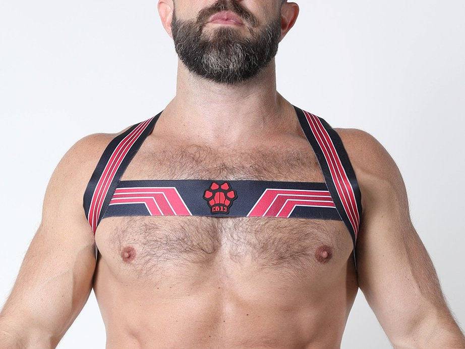 CellBlock 13 Kennel Club Bandit Harness - Image 15