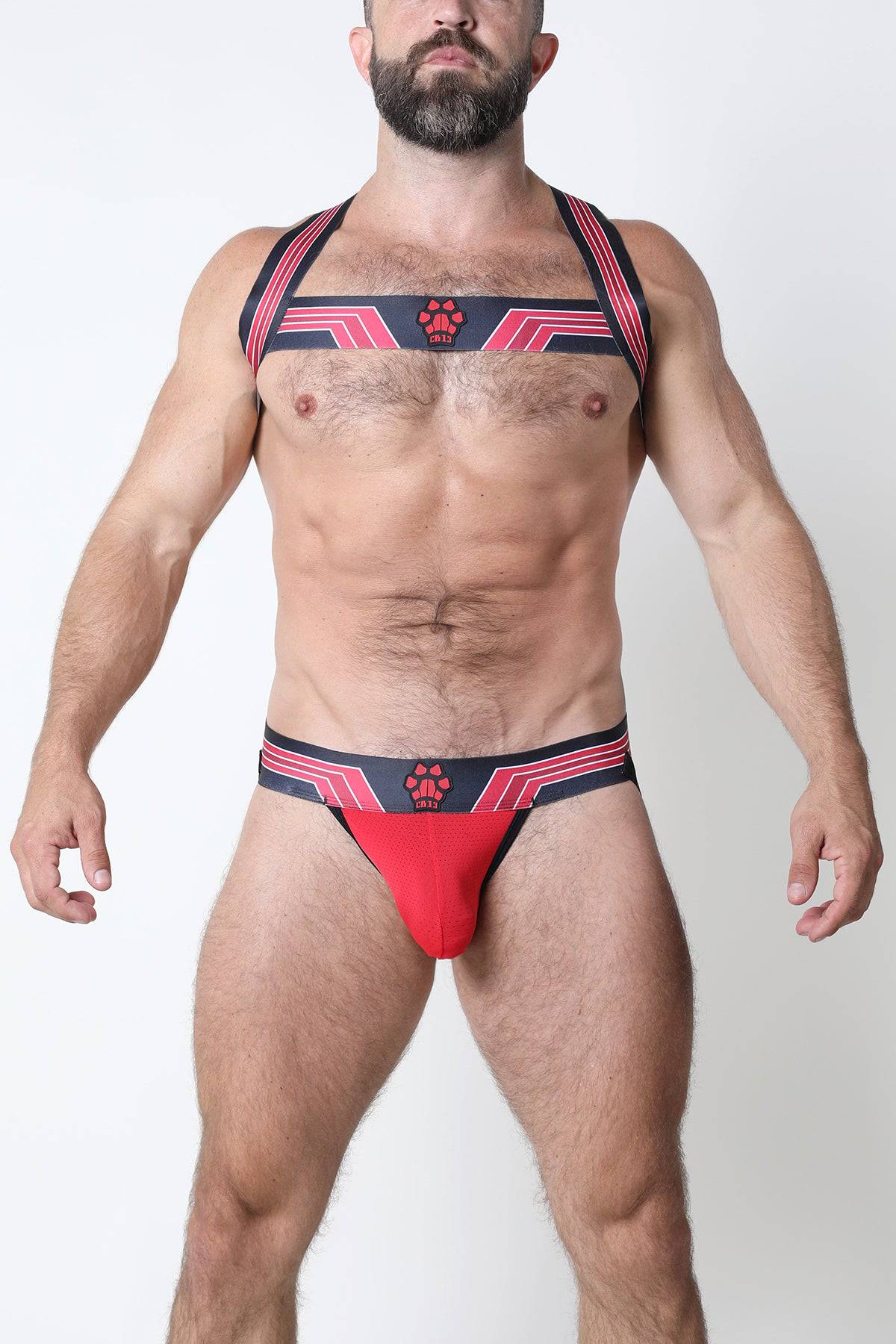 CellBlock 13 Kennel Club Bandit Harness - Image 19
