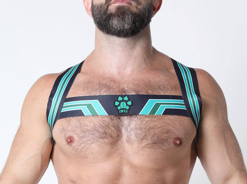 CellBlock 13 Kennel Club Bandit Harness - Image 6
