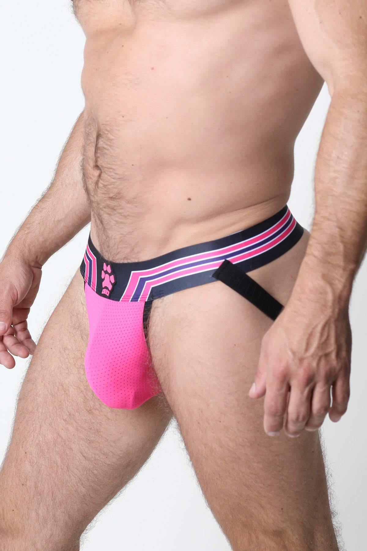 CellBlock 13 Kennel Club Bandit Jockstrap - Image 12