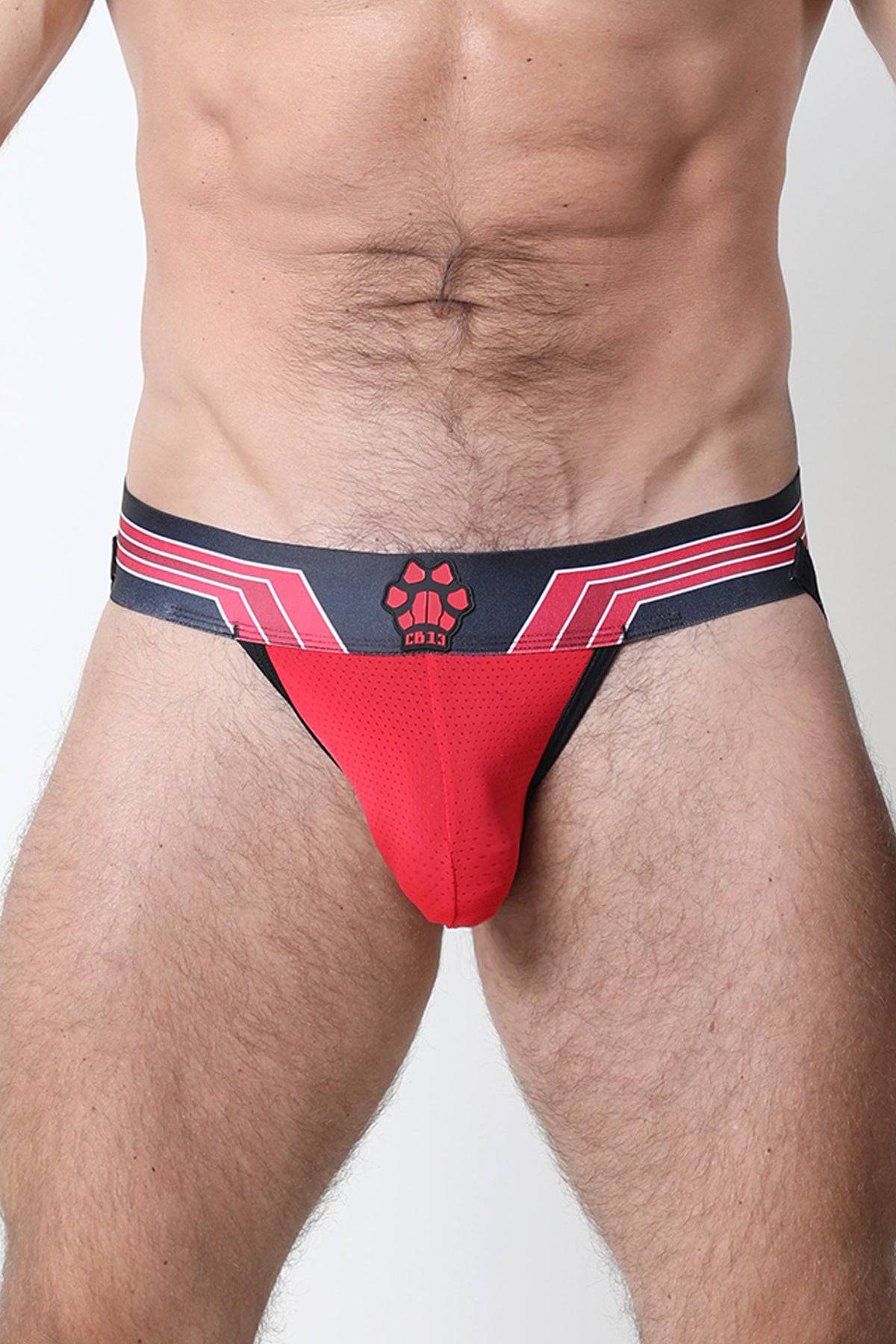 CellBlock 13 Kennel Club Bandit Jockstrap - Image 13
