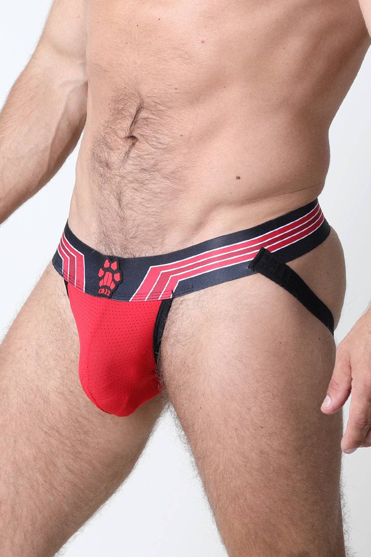 CellBlock 13 Kennel Club Bandit Jockstrap - Image 14