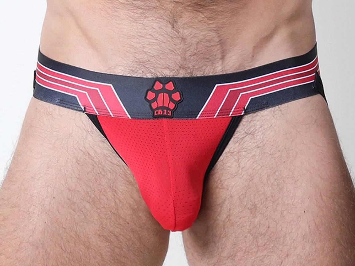 CellBlock 13 Kennel Club Bandit Jockstrap - Image 19