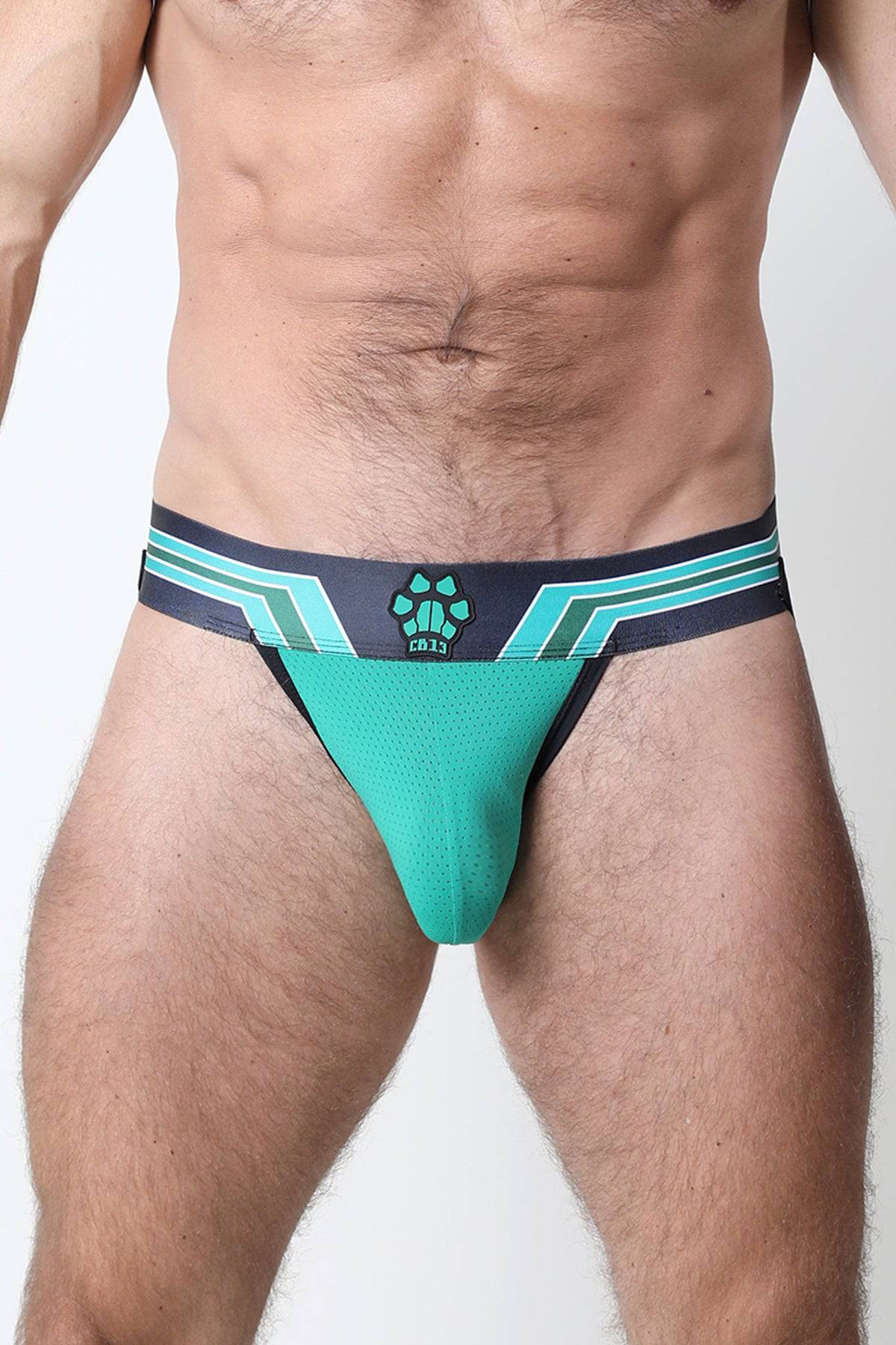 CellBlock 13 Kennel Club Bandit Jockstrap - Image 4
