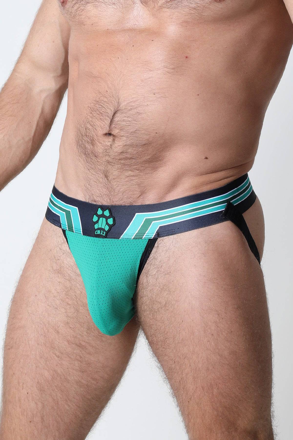 CellBlock 13 Kennel Club Bandit Jockstrap - Image 5