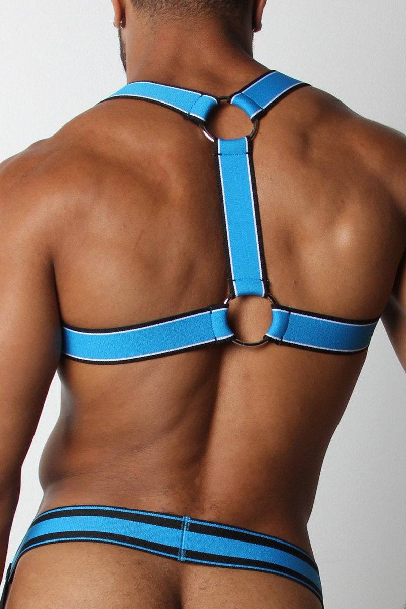 CellBlock 13 Kennel Club Scout Harness - Image 10