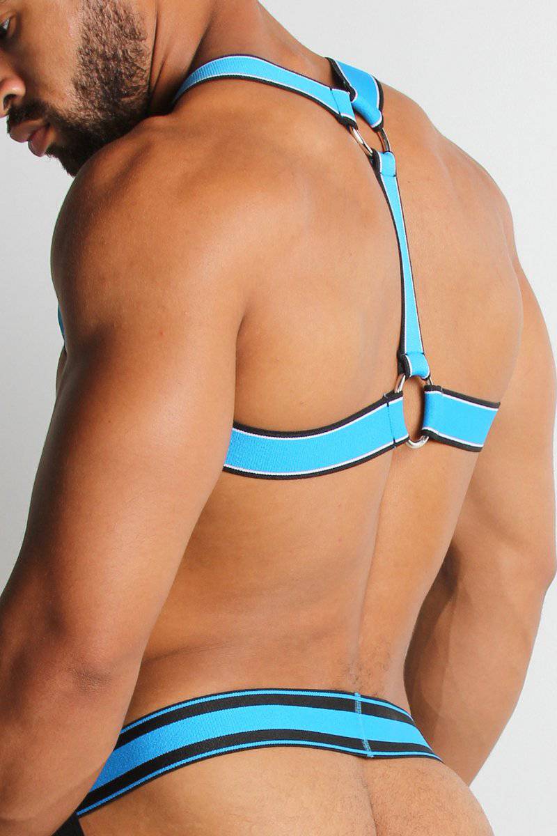 CellBlock 13 Kennel Club Scout Harness - Image 11