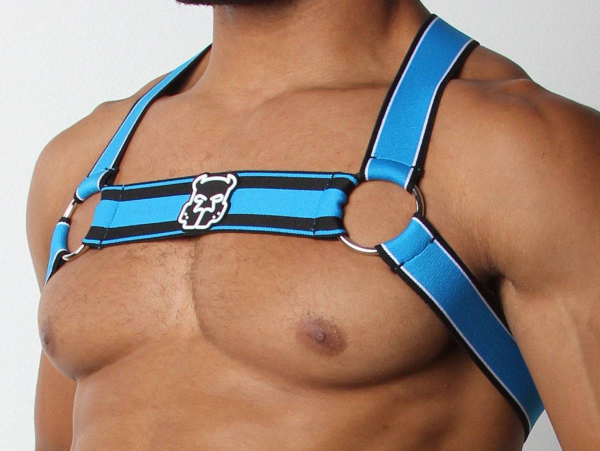 CellBlock 13 Kennel Club Scout Harness - Image 12