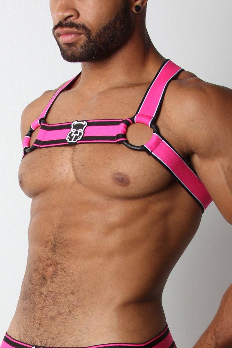 CellBlock 13 Kennel Club Scout Harness - Image 13
