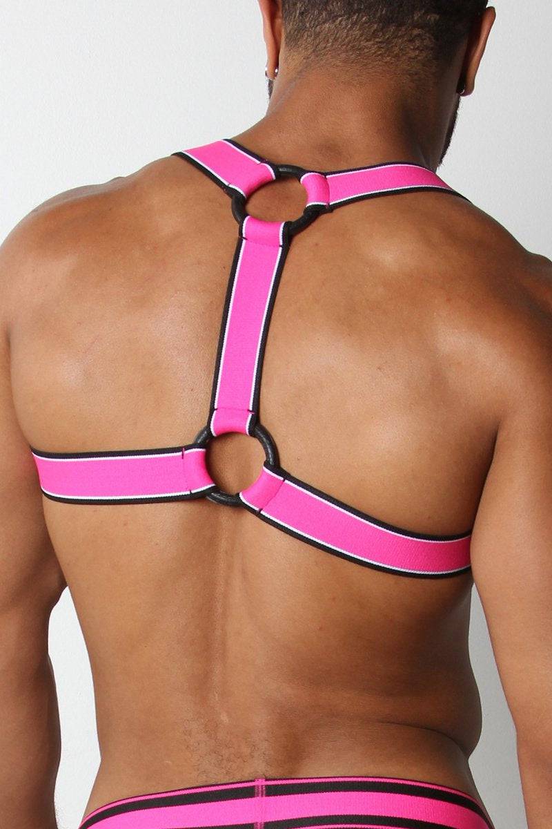 CellBlock 13 Kennel Club Scout Harness - Image 14