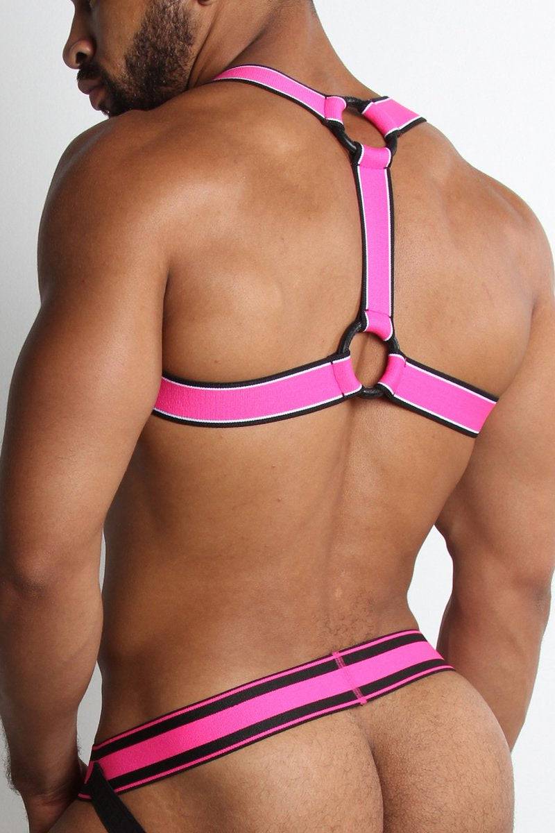 CellBlock 13 Kennel Club Scout Harness - Image 15