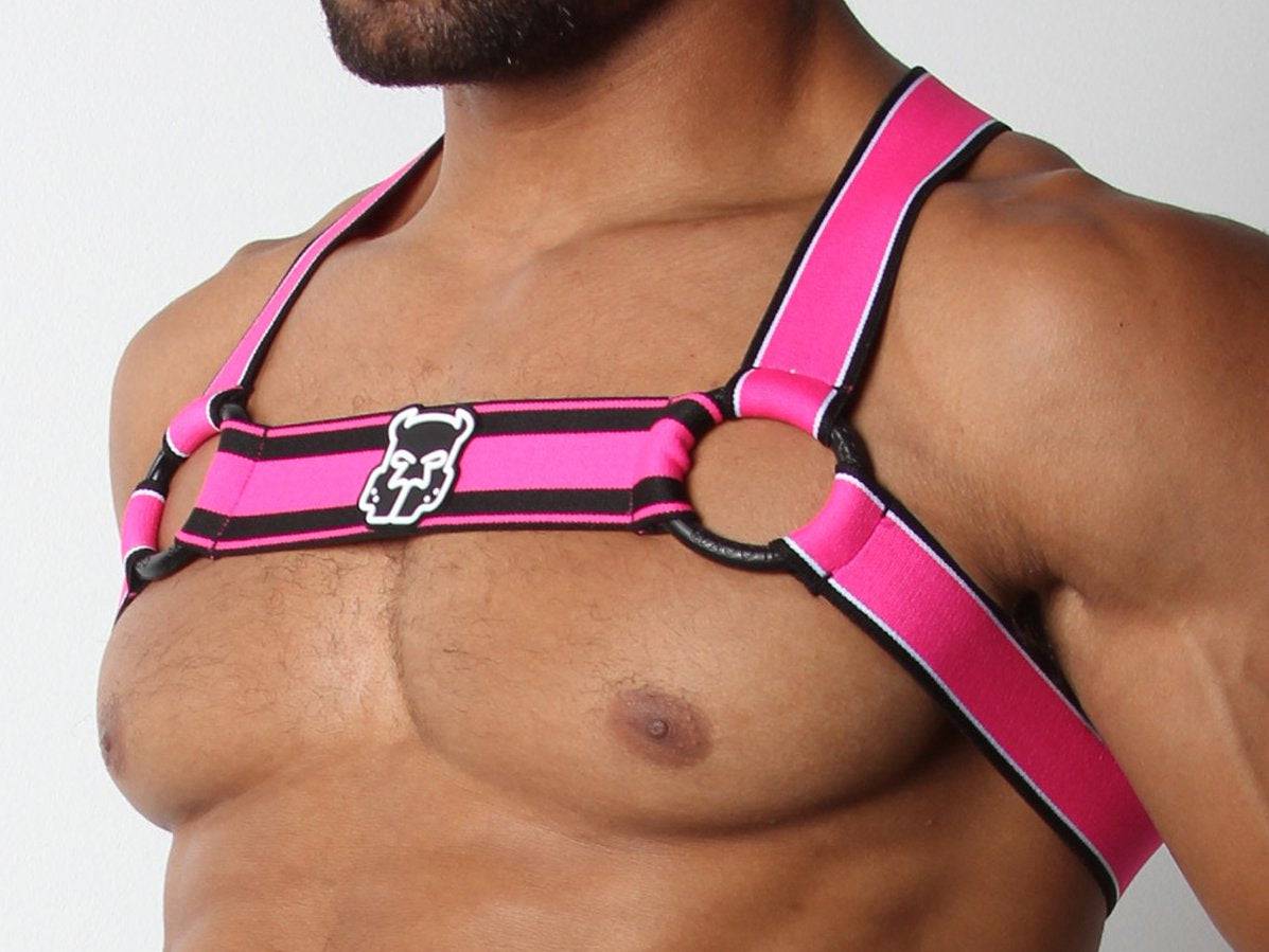 CellBlock 13 Kennel Club Scout Harness - Image 16